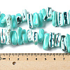 1 Strand Dyed Natural Trochus Shell Beads Strands SSHEL-PA0001-01D-3