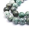 Natural Dioptase Round Beads Strands G-E569-Q01-D-3