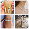1 Strand Natural Quartz Crystal Chip Beads Strands G-TAD0001-08-6