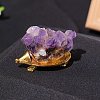 Natural Raw Amethyst Display Decoration G-PW0007-074G-1