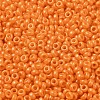 Baking Paint Glass Seed Beads SEED-P006-03A-05-3