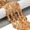 Natural Citrine Beads Strands G-P497-01E-66-2