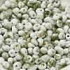 Baking Paint Glass Seed Beads X1-SEED-F006-01A-05-3