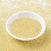 MIYUKI Round Rocailles Beads X-SEED-G007-RR0273-2