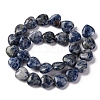 Natural Blue Spot Jasper Beads Strands G-I372-A13-02-5