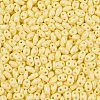 Baking Paint Glass Seed Beads SEED-T006-03B-2