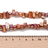 Natural Freshwater Shell Beads Strands BSHE-H018-07D-4