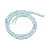 Natural Freshwater Shell Dyed Beads Strands SHEL-R100-11A-03-2