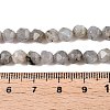 Natural Grey Labradorite Beads Strands G-T138-225-5