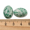 Natural Green Spot Jasper Cabochons G-C115-01A-12-3