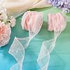 Polyester Deco Mesh Ribbons OCOR-TAC0024-004D-6