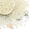 Baking Paint Glass Seed Beads SEED-L011-09A-17-1