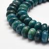 Natural Apatite Beads Strands G-F478-04-10x6mm-3