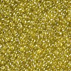 Glass Seed Beads SEED-US0003-2mm-110-2