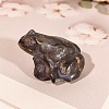 Natural Glaucophane Carved Healing Frog Figurines PW-WG57592-02-1