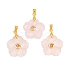 Natural Rose Quartz Carved Pendants G-A315-01G-08-1