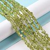 Natural Peridot Beads Strands G-P332-48-01-4