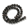 Natural Silver Obsidian Beads Strands G-S150-20A-10MM-3