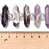 Natural Amethyst Double Terminated Point Beads Strands G-H069-B16-01-5