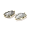 Natural Labradorite Faceted Connector Charms G-F763-02G-03-2
