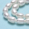 Natural Cultured Freshwater Pearl Beads Strands PEAR-J006-13C-01-4
