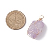 Raw Rough Natural Amethyst Copper Wire Wrapped Pendants PALLOY-JF02787-01-2