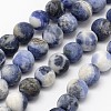 Natural Sodalite Beads Strands X-G-D691-6mm-1