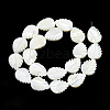 Natural Trochid Shell/Trochus Shell Beads Strands SSHEL-N034-136A-01-2