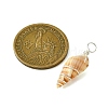 Natural Spiral Shell Pendants PALLOY-JF02793-02-2