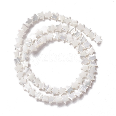 Natural Trochid Shell/Trochus Shell Beads SSHEL-O001-25A-01-1