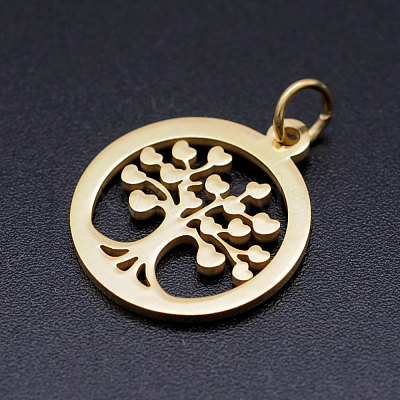 304 Stainless Steel Pendants STAS-T046-JA350-2-1