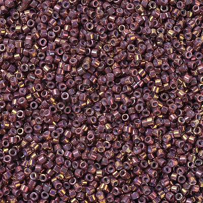 MIYUKI Delica Beads Small X-SEED-J020-DBS1013-1
