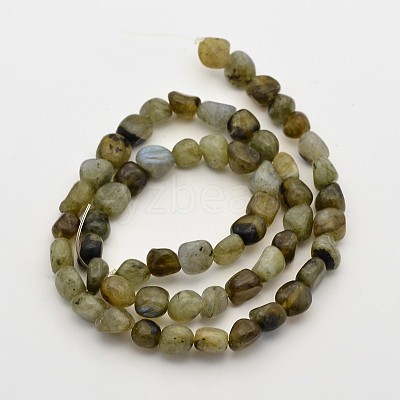 Natural Labradorite Bead Strands G-P070-23-1