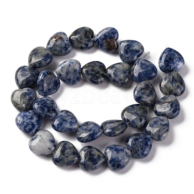 Natural Blue Spot Jasper Beads Strands G-I372-A13-02-1