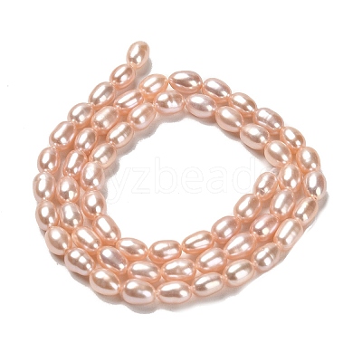 Natural Cultured Freshwater Pearl Beads Strands PEAR-E016-130-1