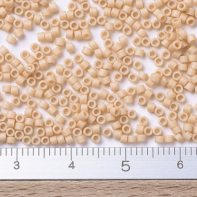 MIYUKI Delica Beads SEED-J020-DB0389-1
