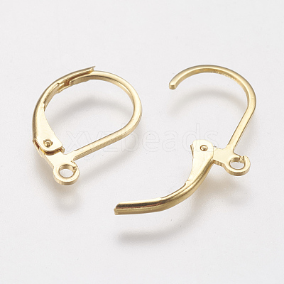 304 Stainless Steel Leverback Earring Findings STAS-F141-03G-1
