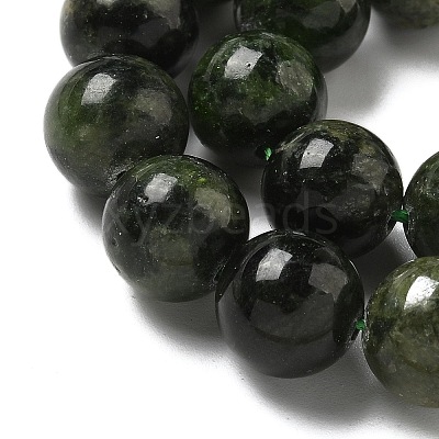 Natural Green Diopside Beads Strands G-K382-B01-03-1
