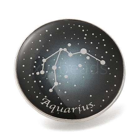 Twelve Constellation Creative Alloy Badges Constellation Brooches JEWB-S033-01P-K-1