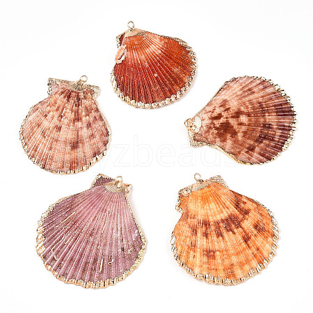 Electroplate Multicolor Sea Shell Pendants X-SSHEL-S262-31-1