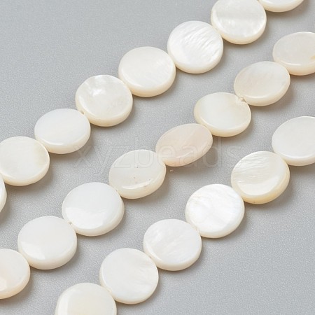 Natural Freshwater Shell Beads BSHE-I011-01D-02-1