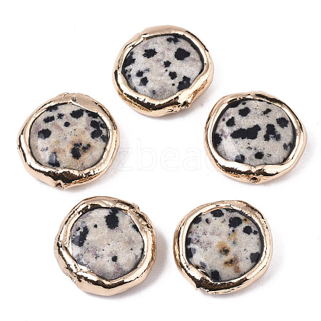 Natural Dalmatian Jasper Beads X-G-S359-112-1