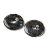 Natural Labradorite Pendants G-F524-H09-2