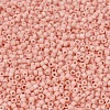 MIYUKI Delica Beads SEED-X0054-DB1513-3