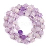 Natural Lepidolite Beads Strands G-O201B-108E-4