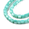 Natural Freshwater Shell Beads Strands X-SHEL-N003-33-A04-3
