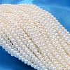Round Shell Pearl Bead Strands BSHE-L011-3mm-A013-1