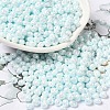 6/0 Glass Seed Beads SEED-M012-01A-13-1