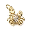 Brass Micro Pave Clear Cubic Zirconia Charms KK-E802-05G-1