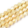 Anti-Tarnish Electroplate Bicone Glass Beads Strands EGLA-T021-6mm-16-05-1